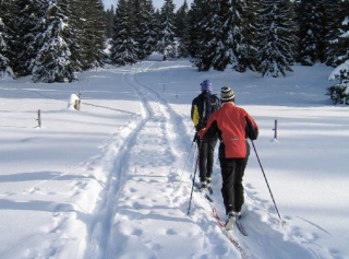  Servicio de esquí de fondo supervisado por un día
